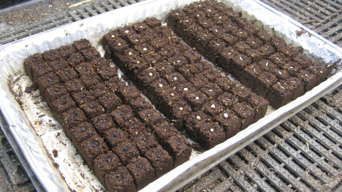 microblock