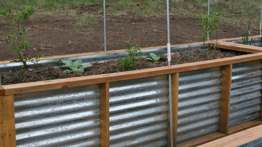 Tall Raised Bed