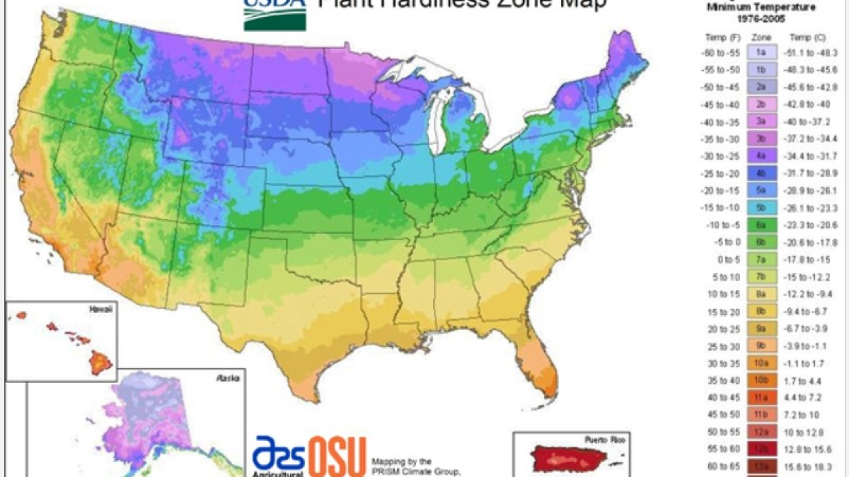 USDA Hardiness Zones