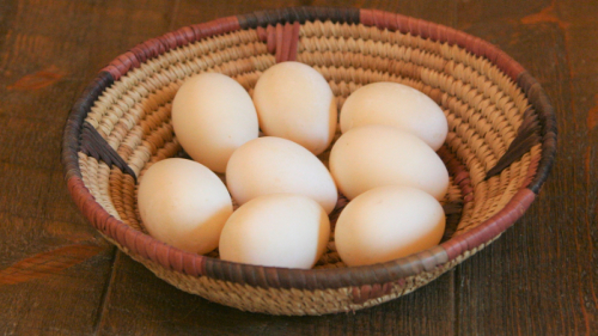 EGGS 500X333