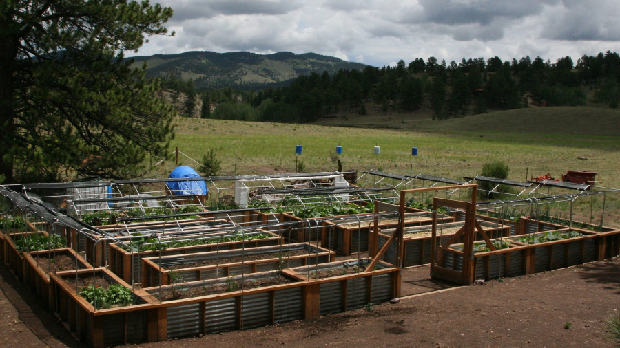 The Garden