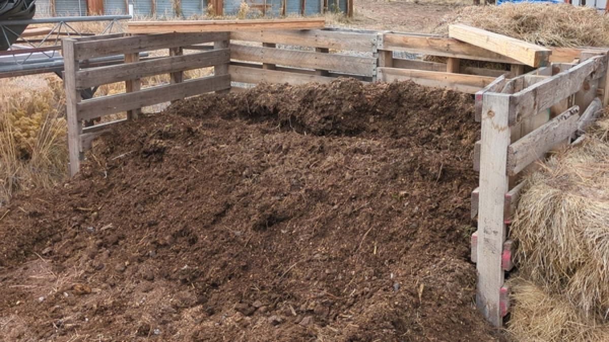 compost bin