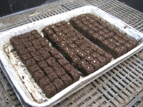 microblock